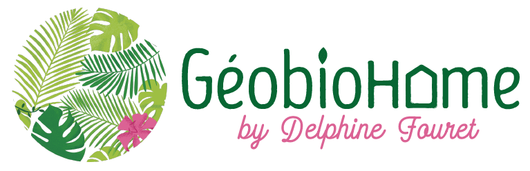 geobiohome geobiology feng shui biarritz - 1